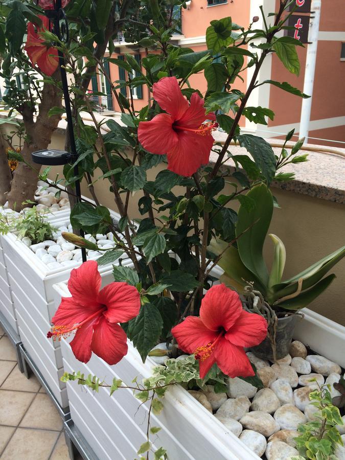 B&B Borgo Marina Bordighera Kültér fotó